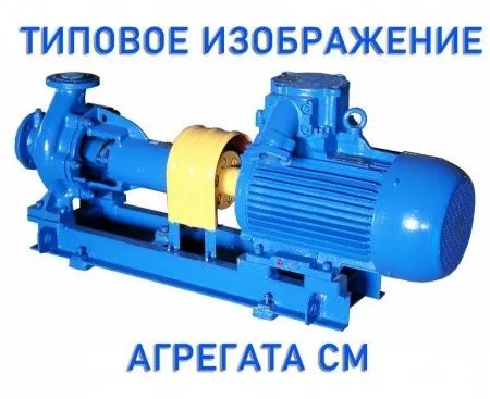 СМ 125-80-315б-4